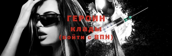 молекула духа Богданович