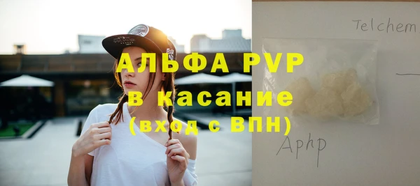 молекула духа Богданович