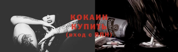 прущие крисы Бородино