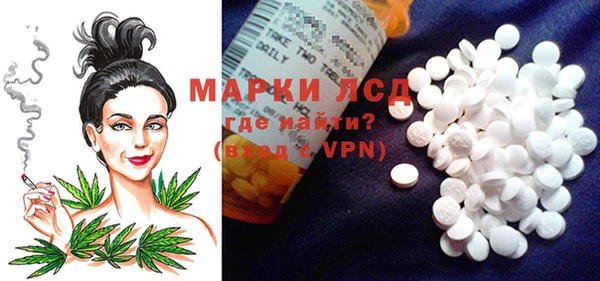 молекула духа Богданович
