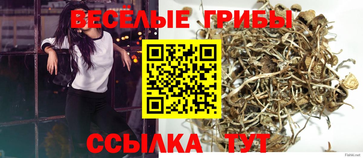 Галлюциногенные грибы GOLDEN TEACHER Улан-Удэ