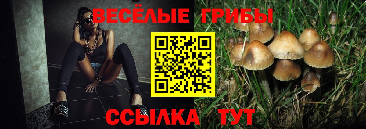 Галлюциногенные грибы Psilocybe  Вход с VPN  Улан-Удэ 