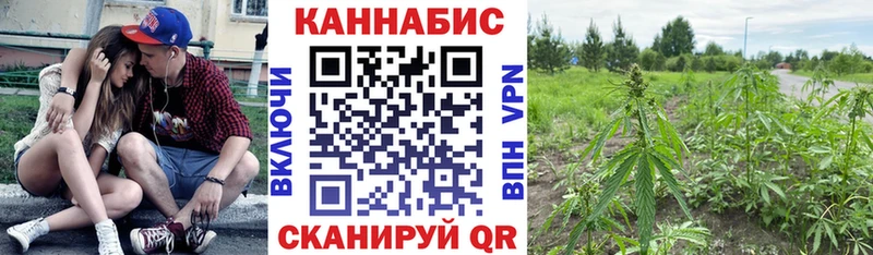 Канабис Bruce Banner hydra маркетплейс Улан-Удэ